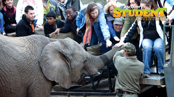 Discovery Student Adventures South Africa