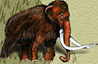 Woolly Mammoth